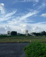 Rio Pride Meadows