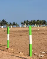 Elai Beach Meadows
