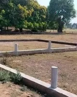 Royal Gardens