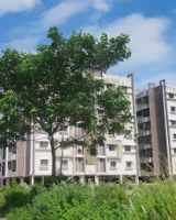 Balaji Greens