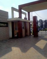 Dev Avenue