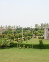 Mansha Greens
