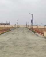 New Golden City