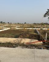 Mauli Town 25