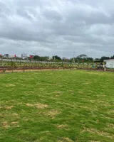 Dream Meadows