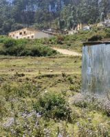 Kodai Green Space