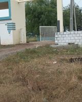 Divine Homes