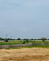 Mapple Green