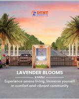Lavender Blooms