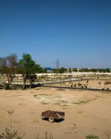 Leoz Green City