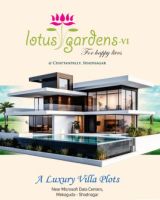 Lotus Garden