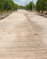Nandi Avenue