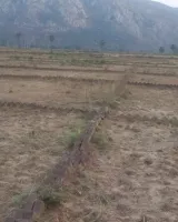 Omkar Vatika