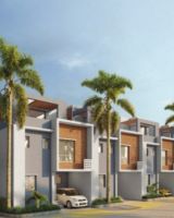 Palm Grove