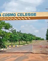 Cosmo Celesse