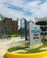 Stellar Okas