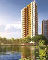 Suncrest Zenith