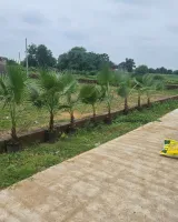 Amul City