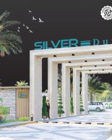 Silver Dunes