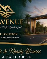 MS Avenue