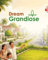 Dream Grandiose