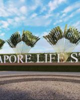 Singapore Lifestyle