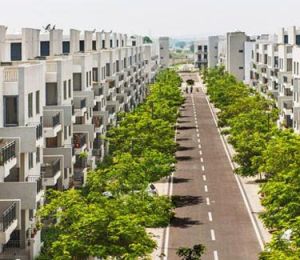 Vatika Emilia floors