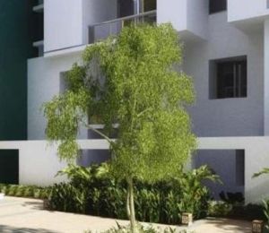 Zonasha Vista