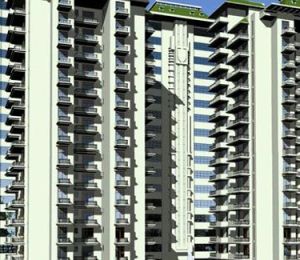 Fresh Living Apartments
