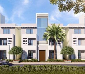 Ubber Golden Palm City