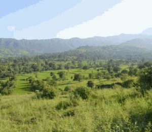 Heritage View