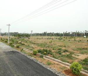 Neeladhri Township