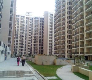 Skytech Matrott