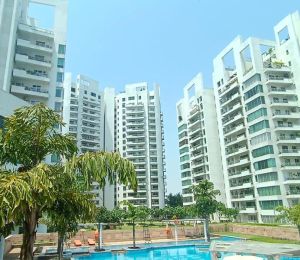 Parsvnath Exotica