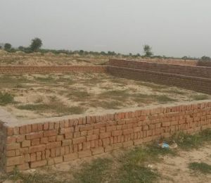 Bhumi greens