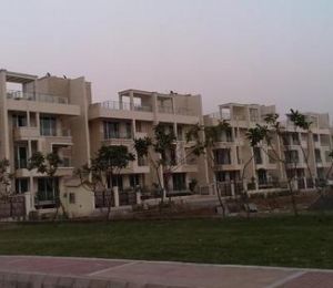 Sovereign Floors