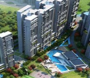 Tulip Sports City