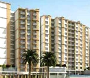 Prestige Pine Wood
