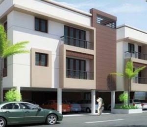 Pavani Palms