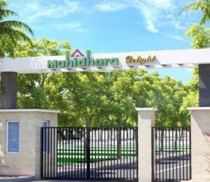 Mahidhara Delight
