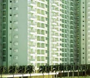 Godrej Palm Grove