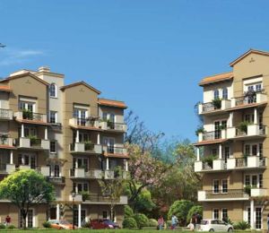 Emaar MGF Emerald Floors