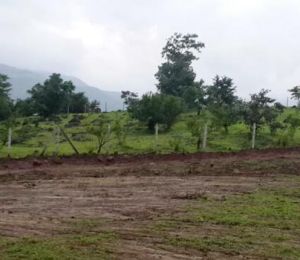 Sahyadri Classic