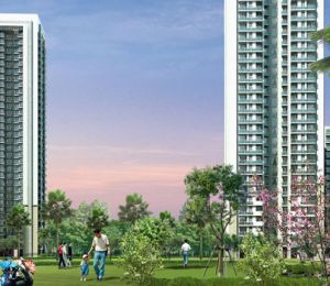 DLF Primus