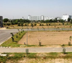 Mega Township