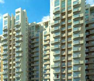 The Premier Terraces
