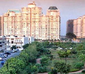 DLF Exclusive Floors