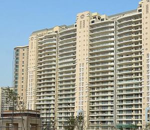 DLF Magnolias