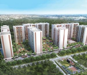 Temple Green Heights