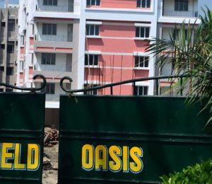 Greenfield Oasis